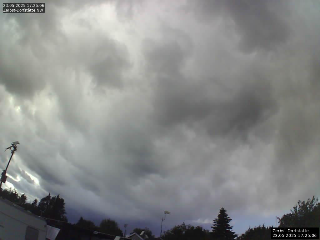 Webcam Bild